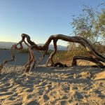 Death Valley, Sand Dunes