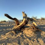 Death Valley, Sand Dunes