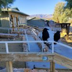 Death Valley, Stovepipe Wells