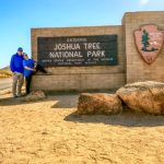 Tag 07 - 18.10.2024 Fahrt zum Joshua Tree National Park