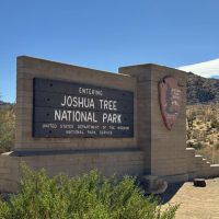 Joshua Tree