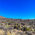 Desert Hot Springs