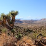 Desert Hot Springs