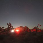 Joshua Tree