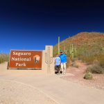 Saguara National Park