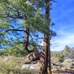 Sunset Crater National Monument