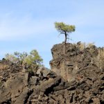 Sunset Crater National Monument