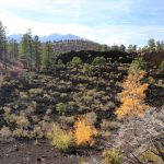 Sunset Crater National Monument